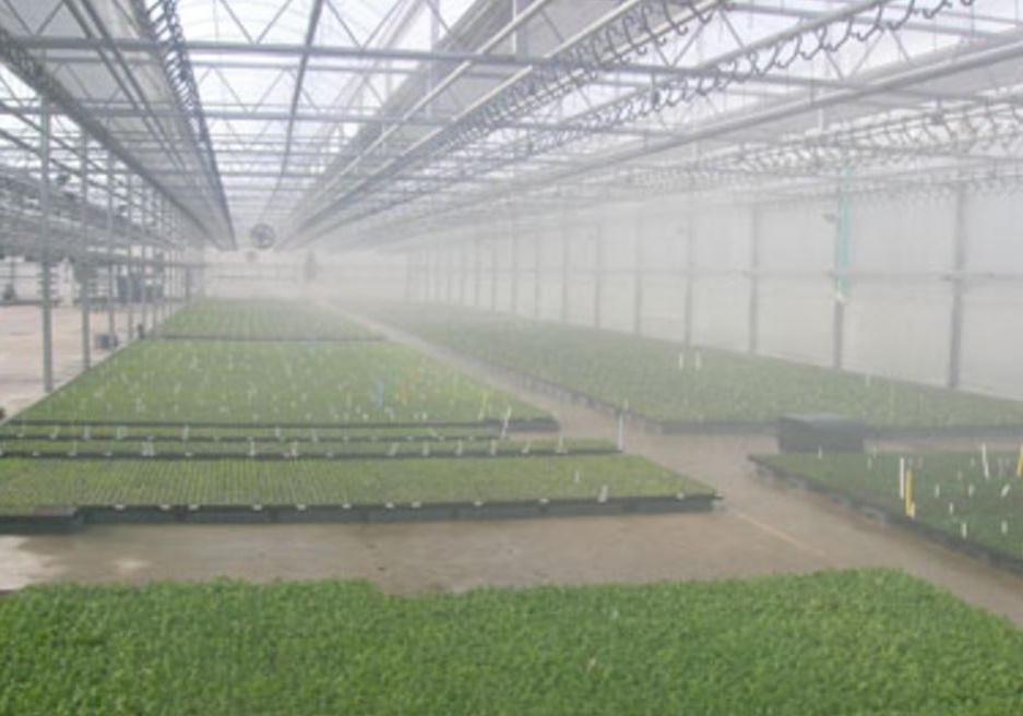 HUMIDITY CONTROL IN GREENHOUSE MIST COOLING